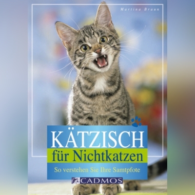 kaetzisch-für-nichtkatzen-katzen-verstehen