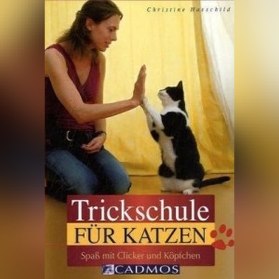 trickschule-fuer-katzen